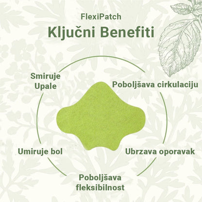 FlexiPatch - Flasteri Protiv Bolova U Leđima (10 komada)